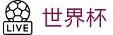 FIFA世界杯（中国）综合数据大厅_便捷登录 - 安全保障
